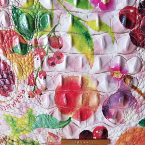 BRAHMIN Purse Katherine Fruit Salad Ombre Melbourne Crossbody Bag - Picture 5 of 16